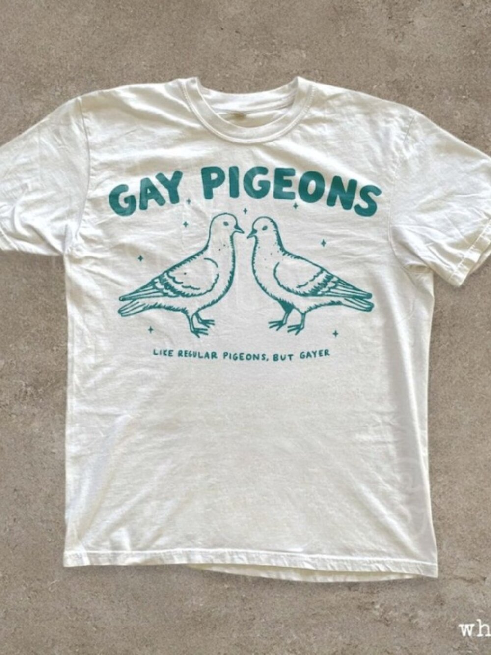 Gay Pigeons T-shirt, Funny LGBTQ Pride Tee, Queer Graphic Tee - Picture 1 of 3